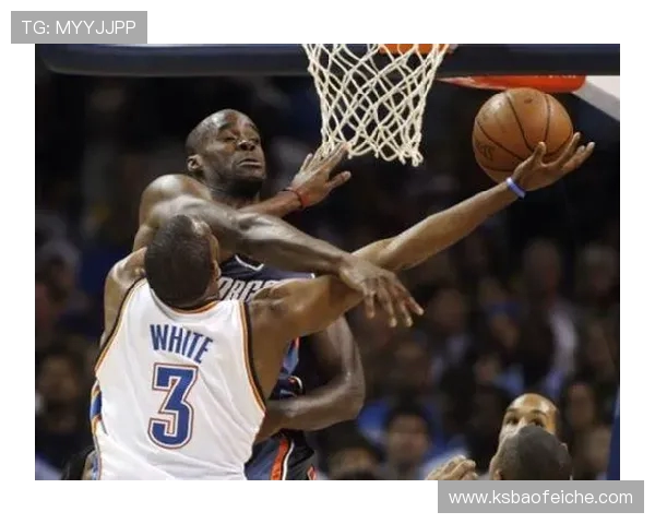 2014年1月25日尼克斯与山猫激战回顾精彩瞬间与赛后分析