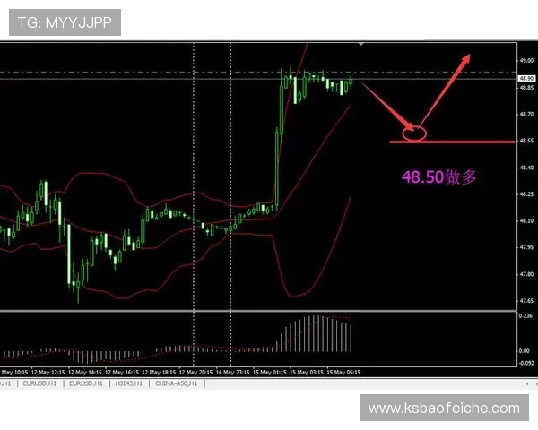 谢菲尔德对阵利兹的精彩直播全程回顾与分析