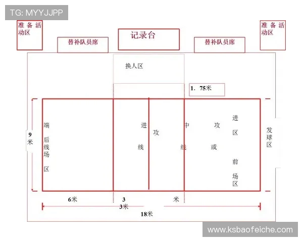 重庆排球队的个人能力揭秘与排球技艺的深度探讨