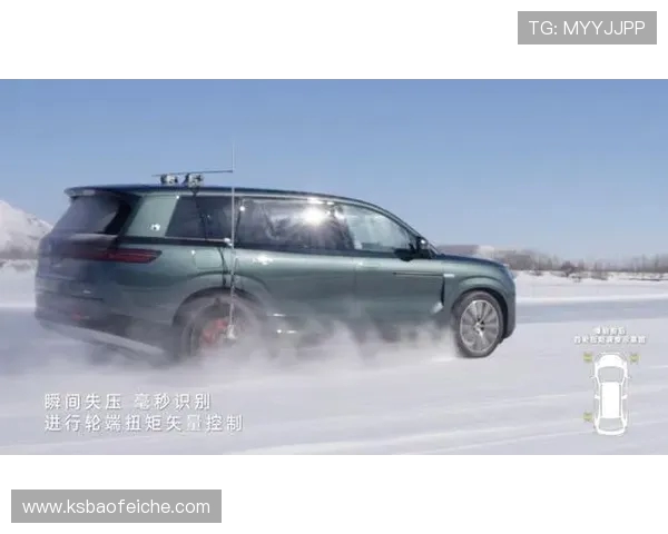 南京极限运动队的马拉松大满贯之路与成长历程全景揭秘