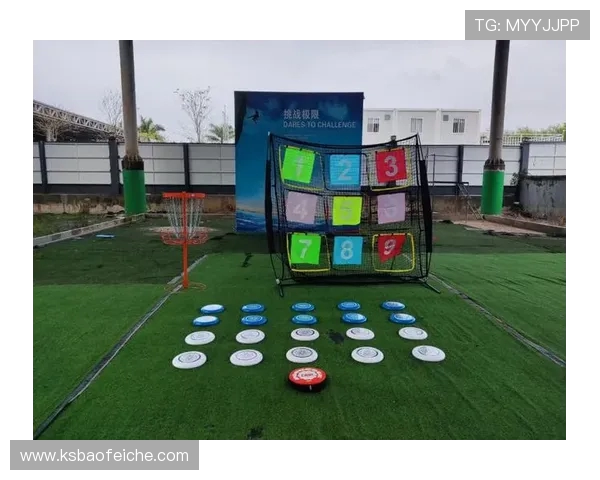 张丽独家分享飞盘技巧与心得体会助你提升飞盘水平的秘诀